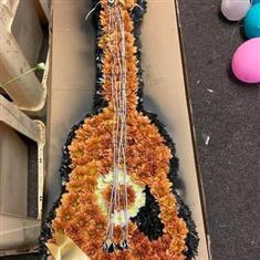 Guitar