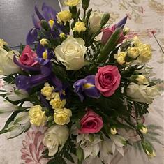 Posies spring